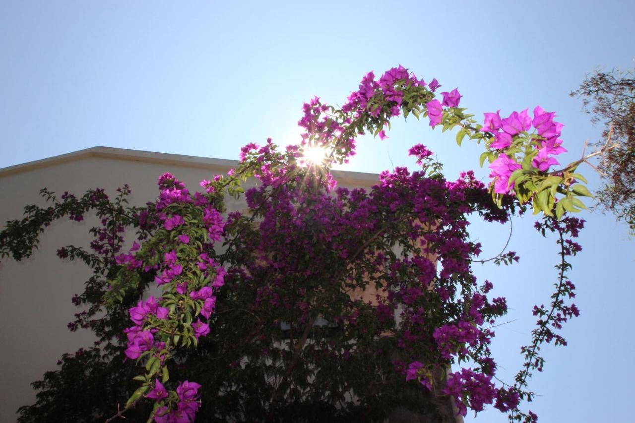 Villa Ghiatone Pietrosella ภายนอก รูปภาพ